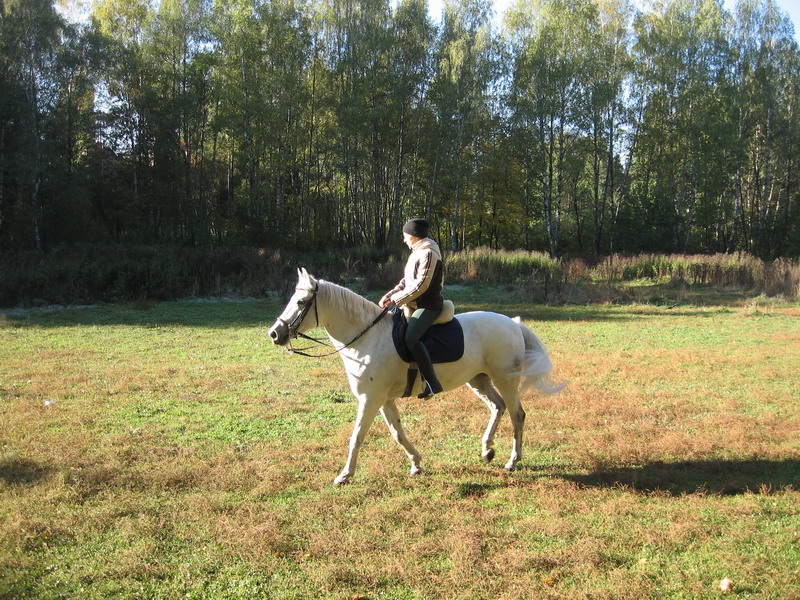 IMG_1177.jpg1.jpg"%20height="600"%20width="800